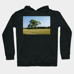 The lonely old tree in the field Hoodie